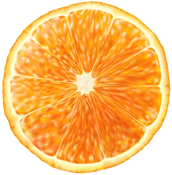 Orange fruit slice — Stock Vector