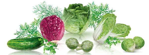 Composizione Cavoli Testa Verde Viola Cetriolo Carciofi Decorati Con Erbe — Vettoriale Stock