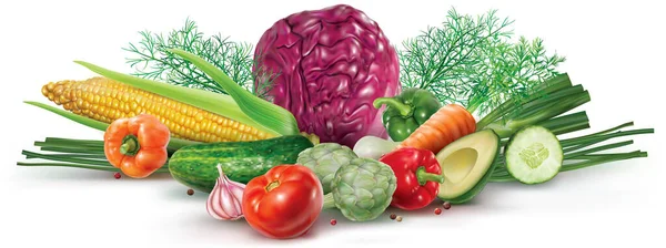 Komposition Aus Buntem Gemüse Kohl Paprika Tomaten Mit Kräutern Auf — Stockvektor