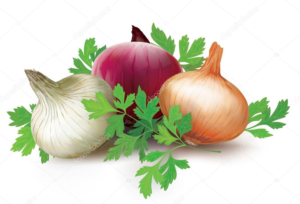 Onions of different colors and parsley