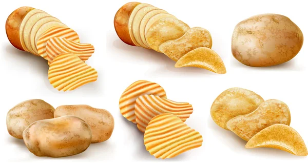 Raccolta patate e patatine fritte — Vettoriale Stock
