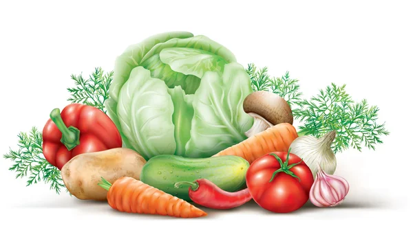 Vegetables group — Stock Vector