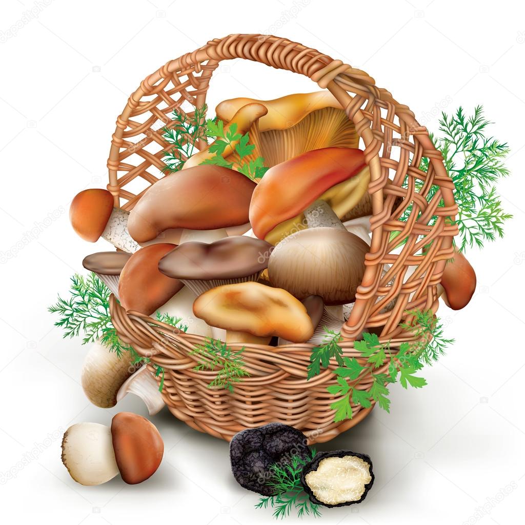 mushrooms in a wicker basket