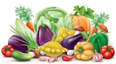 Collection different vegetables clipart