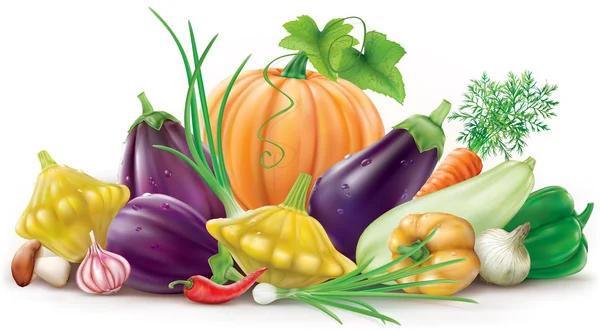 Coloridas verduras diferentes — Vector de stock