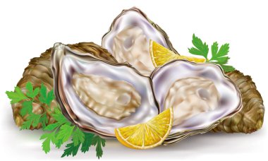 limon taze istiridye