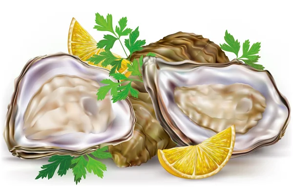 Fresh oysters with lime — Stock Vector