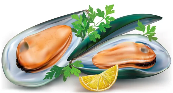 Mussels with lemon — Stock Vector