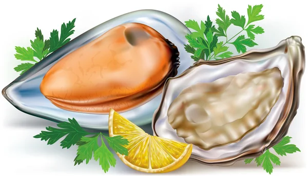 Mejillones y ostras — Vector de stock