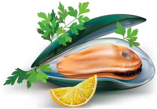Mussel with lemon — Stock Vector