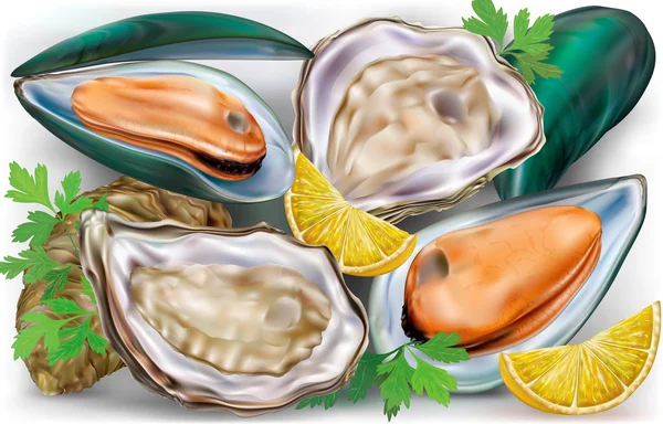 Mejillones y ostras — Vector de stock