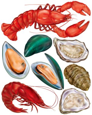 Deniz ürünleri kümesi