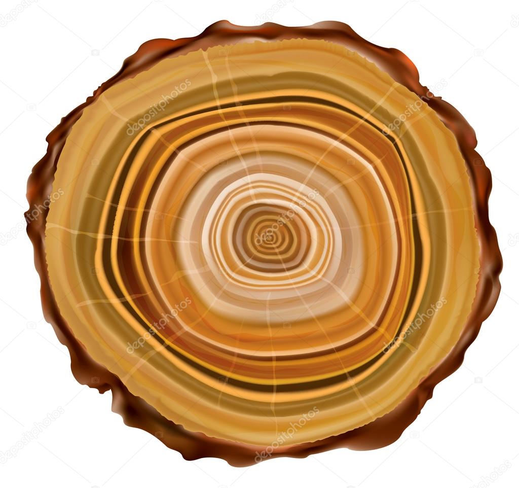 Tree rings