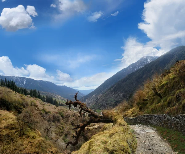 Valle en el Himalaya —  Fotos de Stock