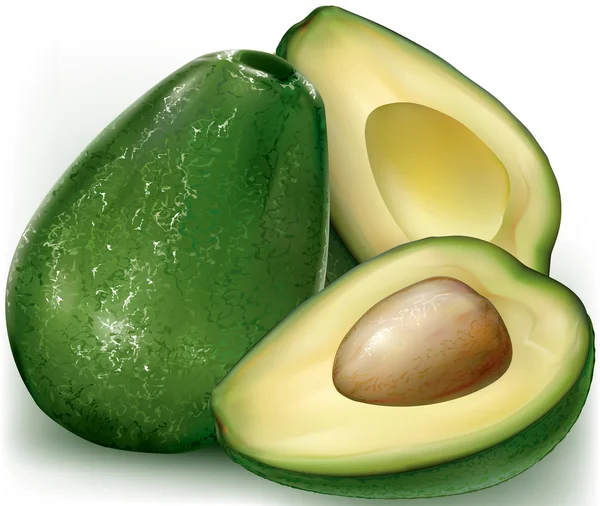 Avocado su sfondo bianco — Vettoriale Stock