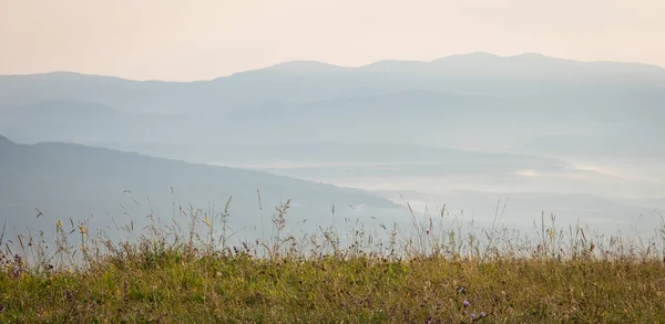 日出后的清晨晨雾中的山的轮廓 在前景中的青草和野花 高山夏季风景 — 图库照片