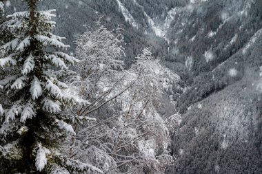 Ünlü Avusturyalı tatil köyü Bad Gastein, Alps dağlarında. Soğuk kış günü