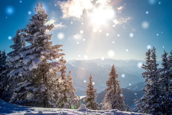 Hermoso paisaje nevado de invierno con bosque y sol. Abeto cubierto de nieve. Paisaje Navidad — Foto de Stock