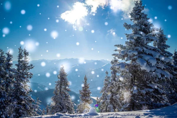 Hermoso paisaje nevado de invierno con montañas, bosque y sol. Abeto cubierto de nieve. Fondo de Navidad — Foto de Stock