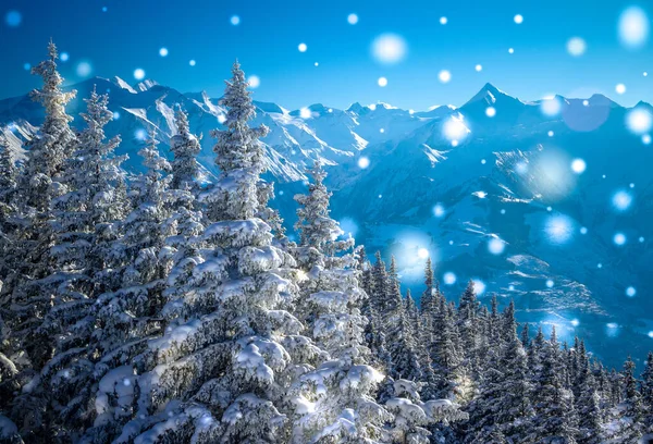 Hermoso paisaje nevado de invierno con montañas, bosque y sol. Abeto cubierto de nieve. Fondo de Navidad — Foto de Stock