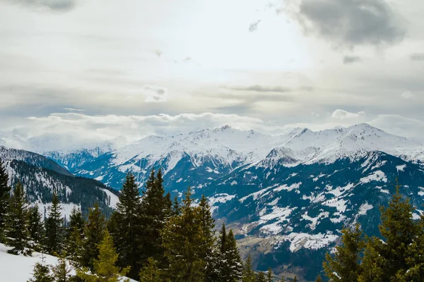 冬季风景 全景尽收眼底 冬季体育区阿尔卑斯山 奥地利阿尔卑斯山 — 图库照片