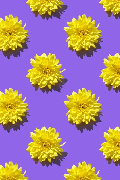 Pattern from yellow flower on violet background. Minimal summer concept