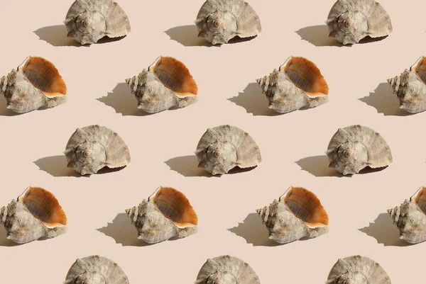Summer pattern with sea shell on beige background. Minimal summer concept