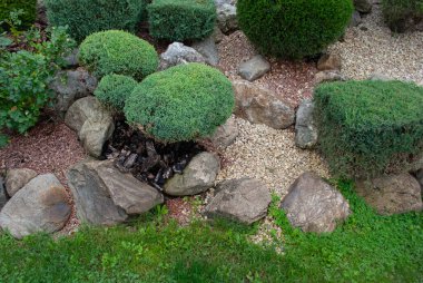 Alpine slide, rock garden or rockery, which consists of stones and plants growing at high altitudes. Decorative landscape composition that imitates mountain terrain. Element of landscape design, size, various, shape, spherical
