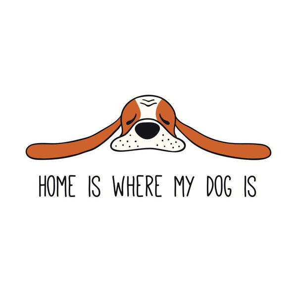 Cute funny basset hound, puppy, quote Home is where my dog is. Hand drawn color vector illustration isolated on white background. Line art. Pet logo. Design concept trendy poster,