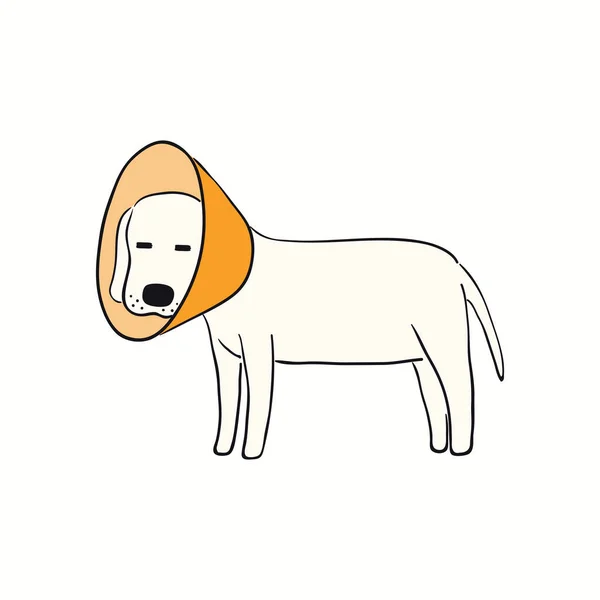 Cão Engraçado Bonito Cachorrinho Usando Cone Ilustração Vetorial Colorida Desenhada — Vetor de Stock