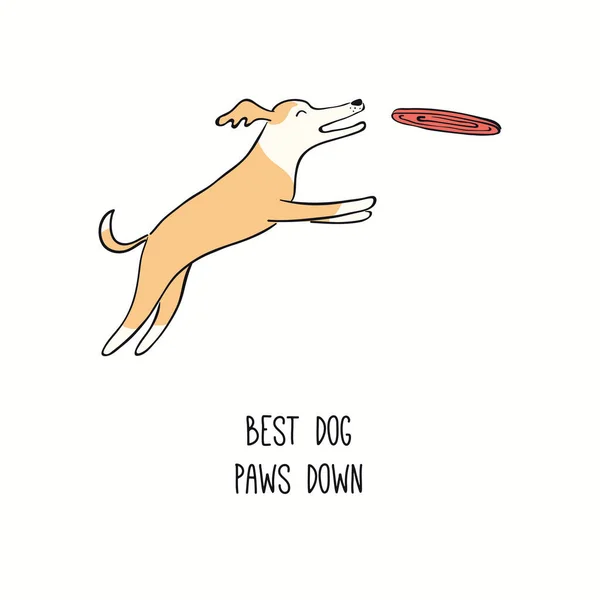 Lindo Cachorro Divertido Saltando Disco Captura Cita Mejor Perro Patas — Archivo Imágenes Vectoriales