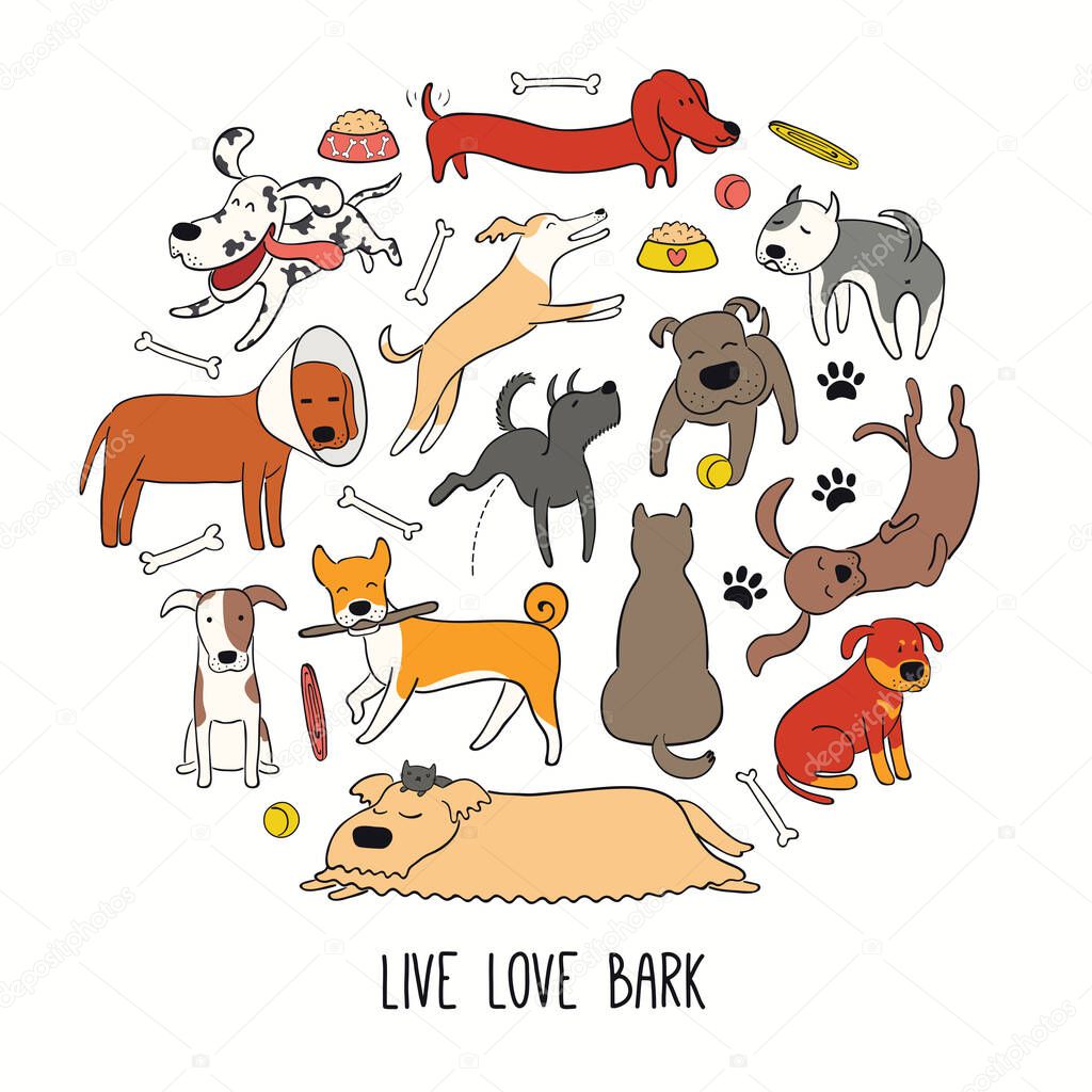 Cute funny different dog, puppy circle design, quote Live love bark. Hand drawn color vector illustration isolated on white background. Line art, Design concept for trendy pet poster 