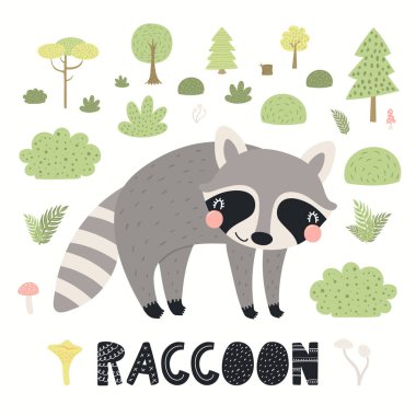 Ormanda sevimli bir rakun, orman manzarası.