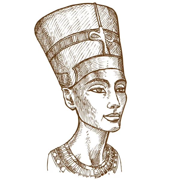 Busto de Nefertiti dibujado a mano — Vector de stock