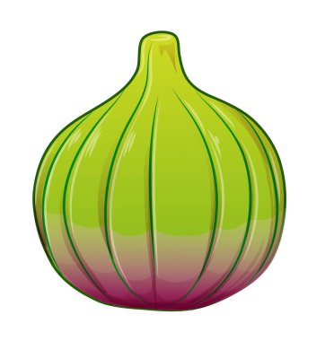 İncir, mor bütün meyve. Vektör illüstrasyon çizgi filmi beyazı izole etti