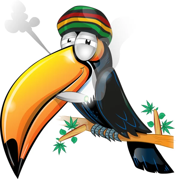 Giamaicano toucan cartone animato isolato su bianco — Vettoriale Stock