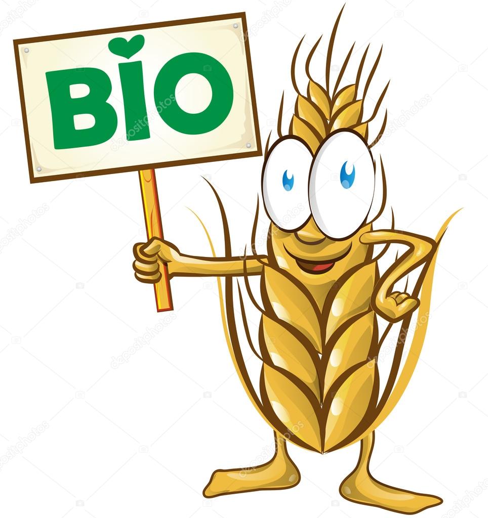Wheat cartoon bio  with signboard isolated on white  background