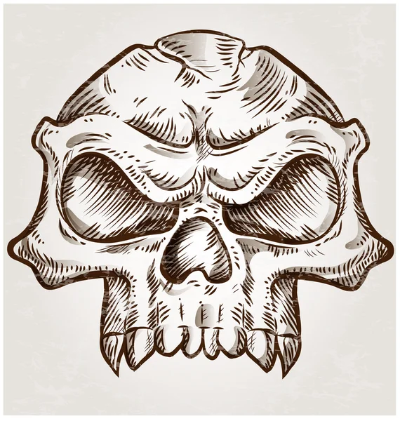 Skull sketch design — Stock Vector