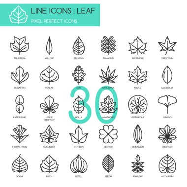 Yaprak, ince çizgi Icons set, piksel mükemmel simgesi