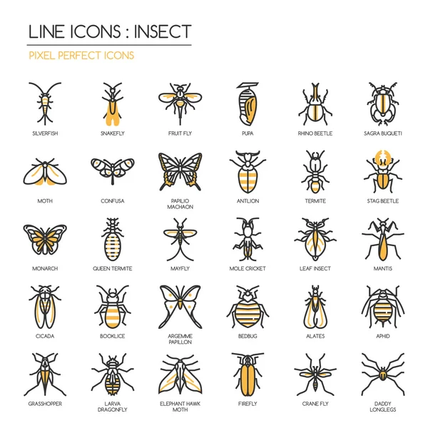 Insect , thin line icons set ,pixel perfect icon — Stock Vector