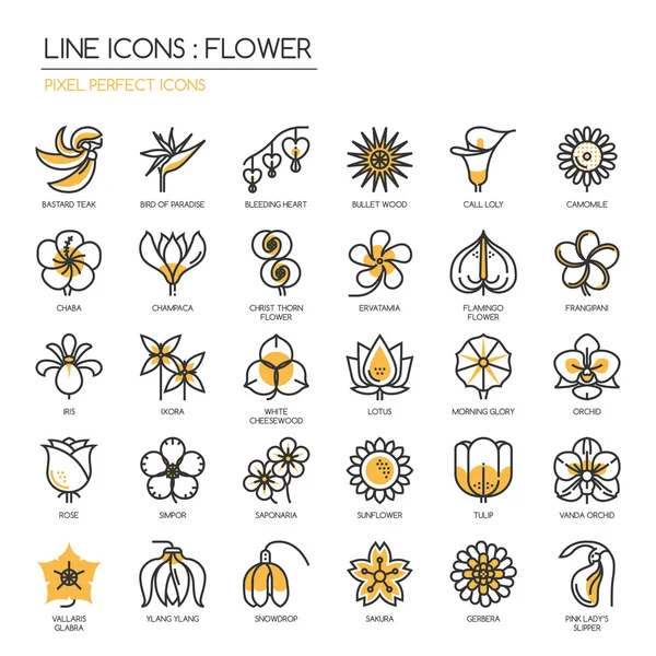 Bloem, dunne lijn pictogrammen instellen, Pixel perfect iconen — Stockvector