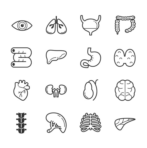 Набор иконок внутренних органов
