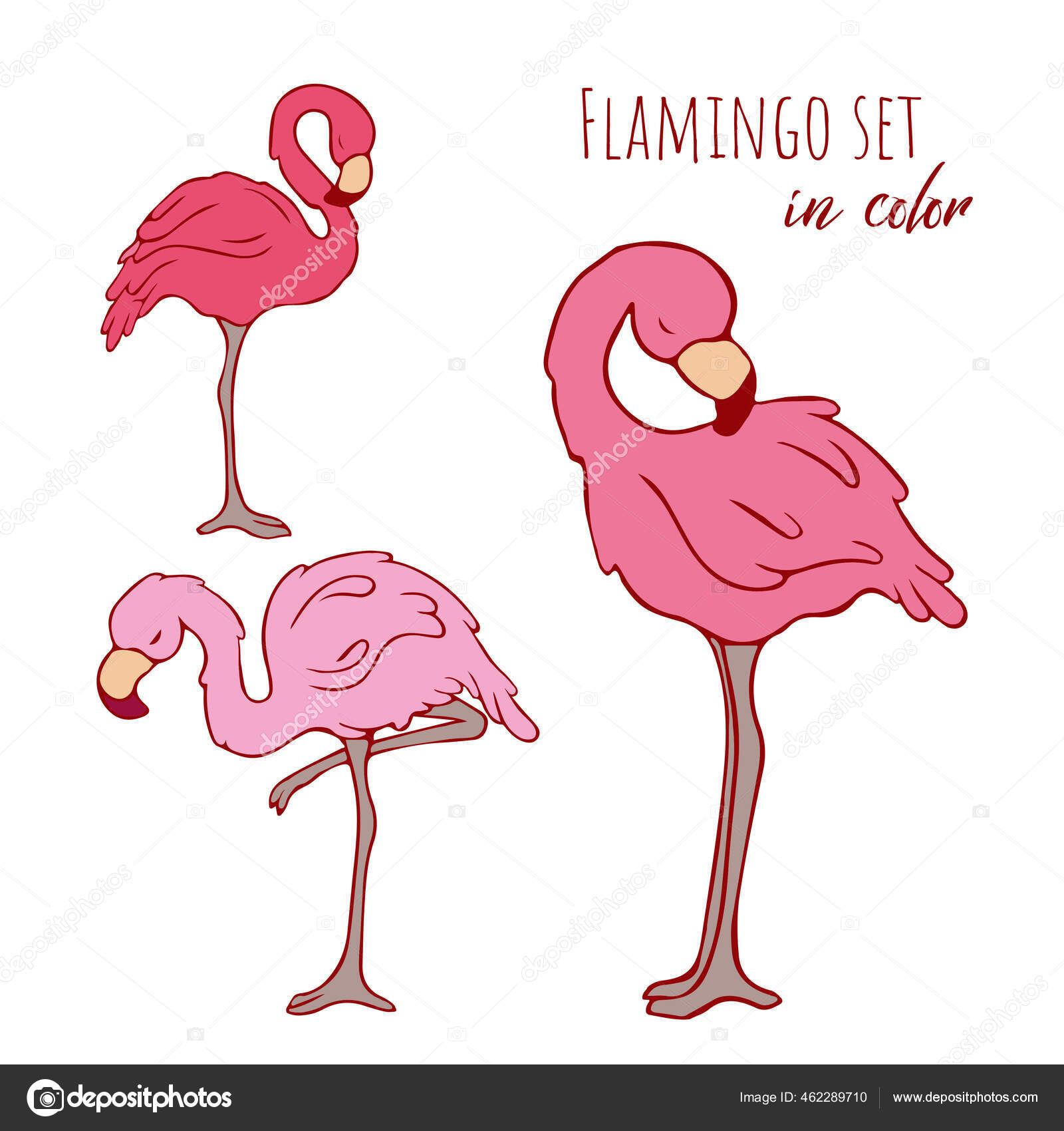 フラミンゴのベクトルセット ベクトル フラミンゴ バカめ 輪郭の鳥 輪郭だ ピンクフラミンゴ 鳥の色だ ピンク色 ストックベクター C Molis フラミンゴのベクトルセット ベクトル フラミンゴ バカめ 輪郭の鳥 輪郭だ ピンクフラミンゴ 鳥の色だ ピンク色 ストックベクター C Molis