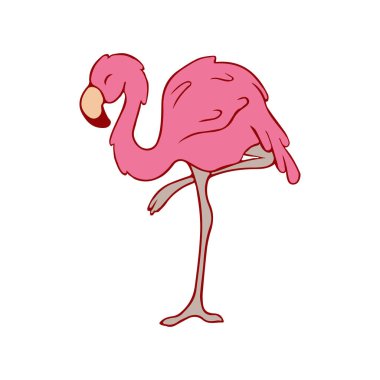 Flamingolar. Karalama. Pembe tropik bir kuş. Flamingo tek ayak üstünde. Stok illüstrasyonu