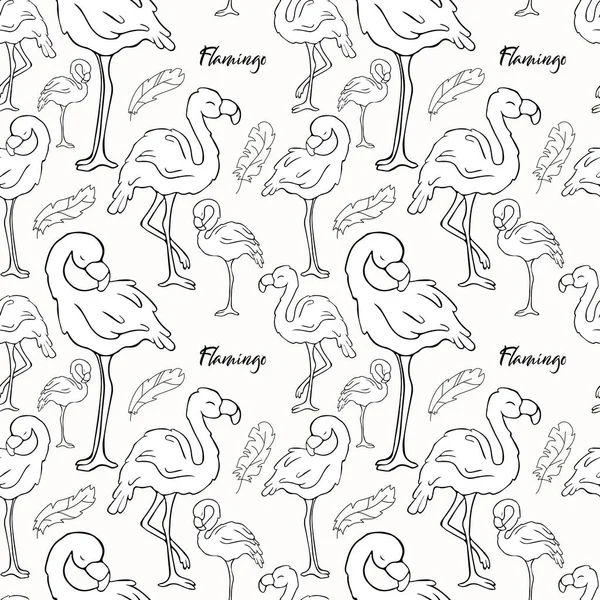 Padrão Sem Costura Vector Flamengos Doodle Pássaro Contorno Contorno Flamingo Vetores De Stock Royalty-Free
