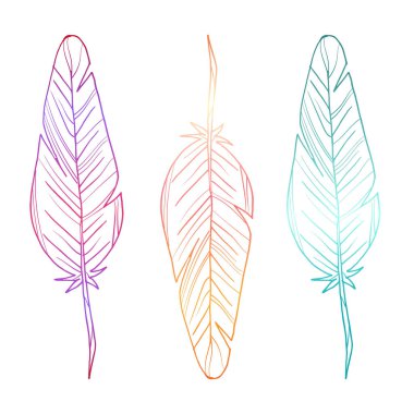 Üç tüy seti. Parlak eğim. Vektör çizimi. Beyaz arkaplandaki izole nesneler. Stok vektör illüstrasyonu.