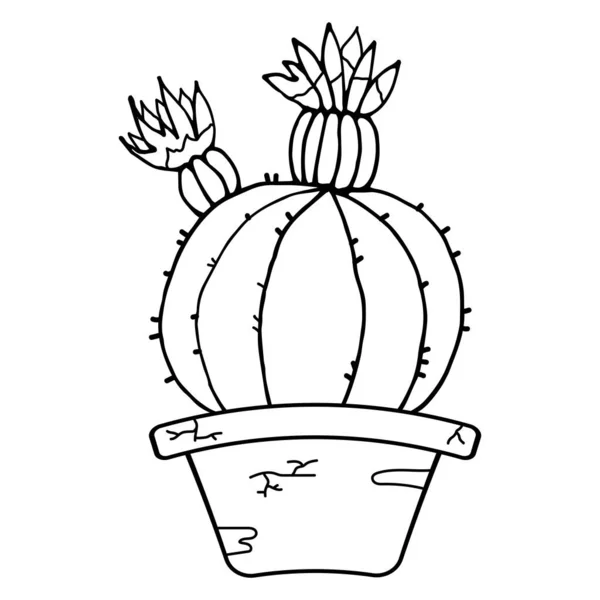 Vetor Desenho Único De Cactos Clipart De Stock, Royalty-Free