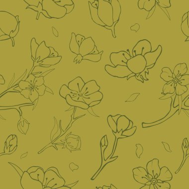 Kiraz çiçekleriyle kusursuz bir arka plan. Vektör çizimi. Hisse senedi. Sakura. Çiçek izi. Yeşil arka plan. Yeşil Çizgi