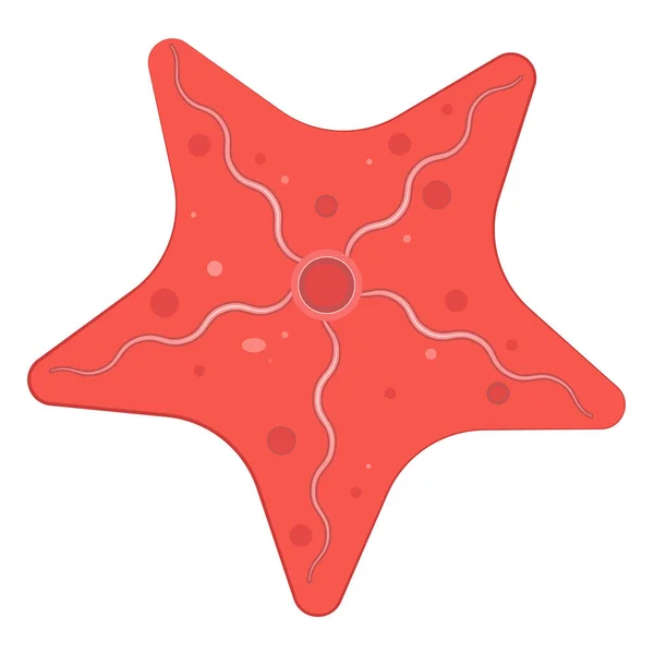 Une Grosse Étoile Mer Rouge Illustration Vectorielle — Image vectorielle