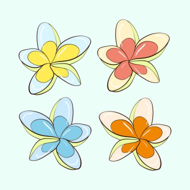 Çiçek ve bitkilerin vektör şablonu. Renkli Plumeria koleksiyonu. Dört seçenek var. Stok illüstrasyonu.